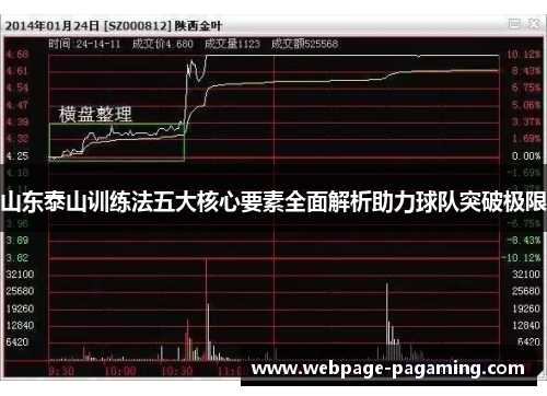 山东泰山训练法五大核心要素全面解析助力球队突破极限 山东泰山训练法五大核心要素全面解析助力球队突破极限