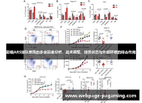 影响ARS球队表现的多重因素分析:战术调整、球员状态与外部环境的综合作用 影响ARS球队表现的多重因素分析:战术调整、球员状态与外部环境的综合作用