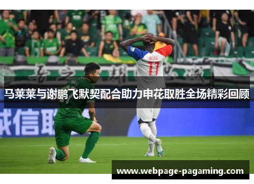 马莱莱与谢鹏飞默契配合助力申花取胜全场精彩回顾 马莱莱与谢鹏飞默契配合助力申花取胜全场精彩回顾