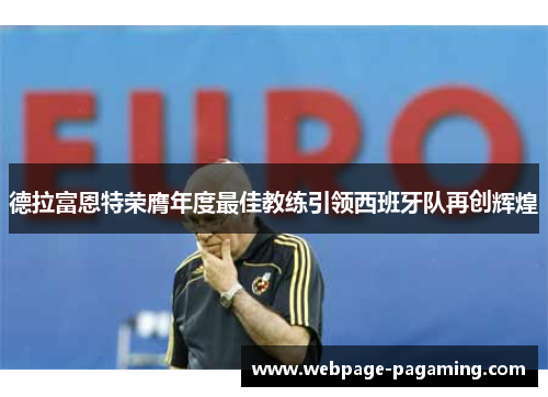 德拉富恩特荣膺年度最佳教练引领西班牙队再创辉煌
