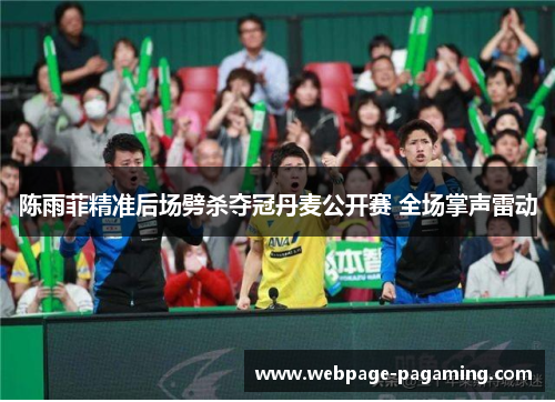 陈雨菲精准后场劈杀夺冠丹麦公开赛 全场掌声雷动